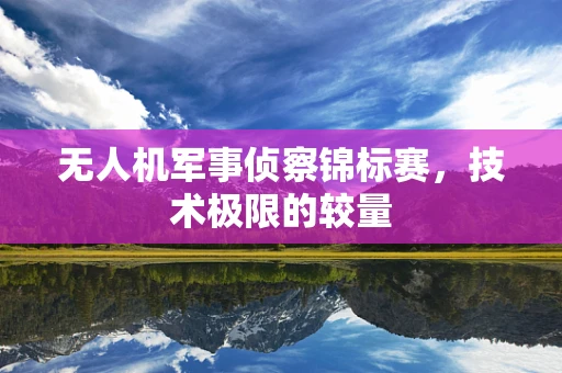 无人机军事侦察锦标赛，技术极限的较量