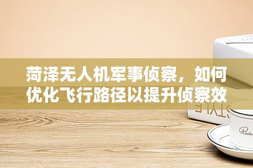 菏泽无人机军事侦察，如何优化飞行路径以提升侦察效率？