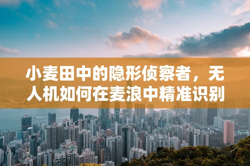 小麦田中的隐形侦察者，无人机如何在麦浪中精准识别目标？