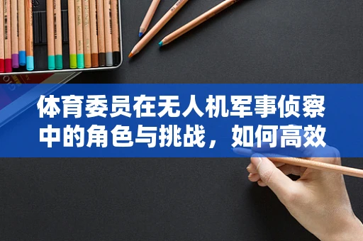 体育委员在无人机军事侦察中的角色与挑战，如何高效协调任务执行？