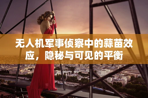 无人机军事侦察中的蒜苗效应，隐秘与可见的平衡