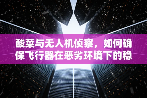 酸菜与无人机侦察，如何确保飞行器在恶劣环境下的稳定侦察？