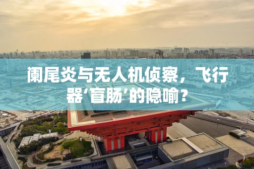阑尾炎与无人机侦察，飞行器‘盲肠’的隐喻？