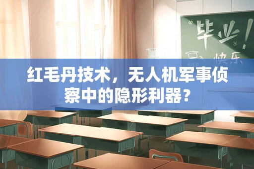 红毛丹技术，无人机军事侦察中的隐形利器？