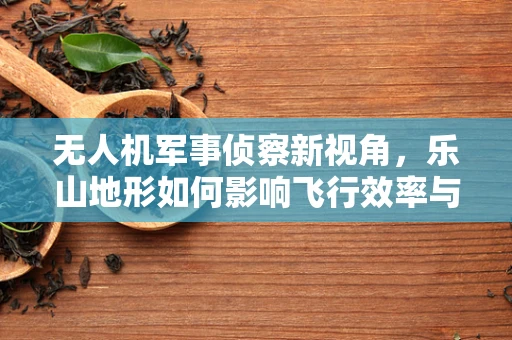 无人机军事侦察新视角，乐山地形如何影响飞行效率与侦察精度？