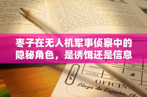 枣子在无人机军事侦察中的隐秘角色，是诱饵还是信息源？