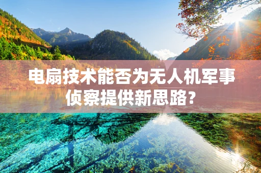 电扇技术能否为无人机军事侦察提供新思路？
