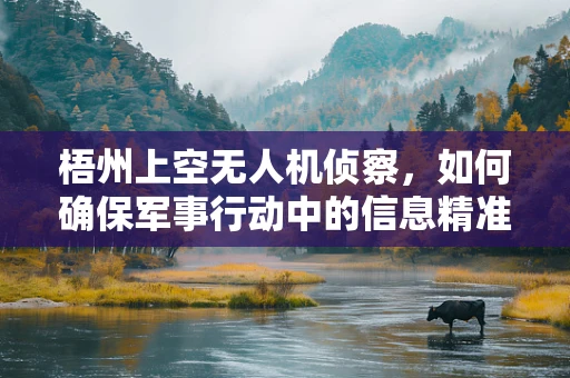 梧州上空无人机侦察，如何确保军事行动中的信息精准与安全？