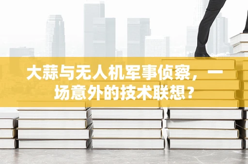 大蒜与无人机军事侦察，一场意外的技术联想？
