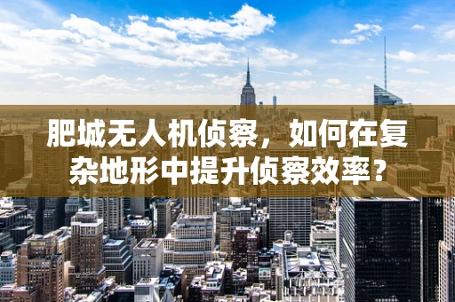 肥城无人机侦察，如何在复杂地形中提升侦察效率？
