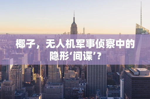 椰子，无人机军事侦察中的隐形‘间谍’？