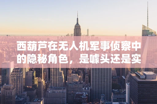 西葫芦在无人机军事侦察中的隐秘角色，是噱头还是实战利器？
