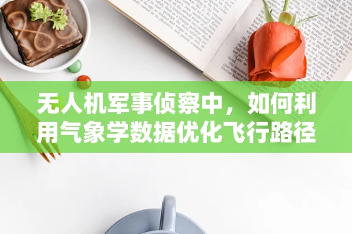 无人机军事侦察中，如何利用气象学数据优化飞行路径？