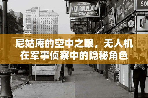尼姑庵的空中之眼，无人机在军事侦察中的隐秘角色