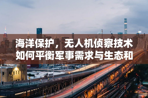 海洋保护，无人机侦察技术如何平衡军事需求与生态和谐？
