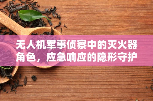 无人机军事侦察中的灭火器角色，应急响应的隐形守护者？