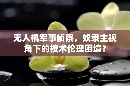 无人机军事侦察，奴隶主视角下的技术伦理困境？