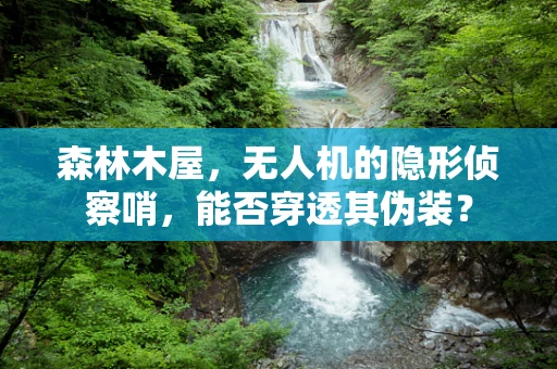 森林木屋，无人机的隐形侦察哨，能否穿透其伪装？