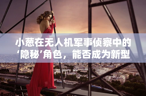 小葱在无人机军事侦察中的‘隐秘’角色，能否成为新型伪装策略的灵感之源？