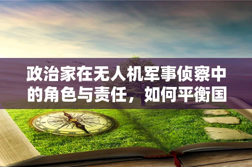 政治家在无人机军事侦察中的角色与责任，如何平衡国家安全与公民隐私？