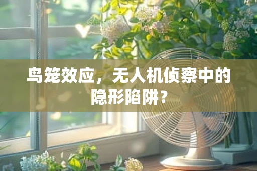 鸟笼效应，无人机侦察中的隐形陷阱？