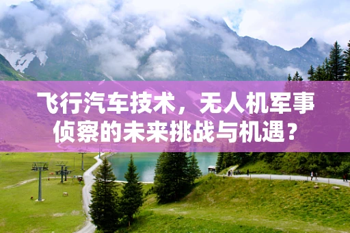 飞行汽车技术，无人机军事侦察的未来挑战与机遇？