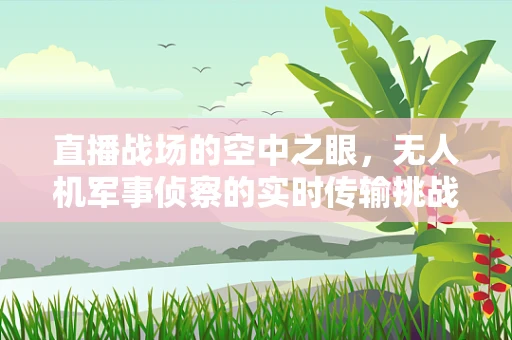 直播战场的空中之眼，无人机军事侦察的实时传输挑战