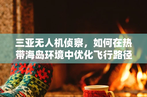 三亚无人机侦察，如何在热带海岛环境中优化飞行路径？