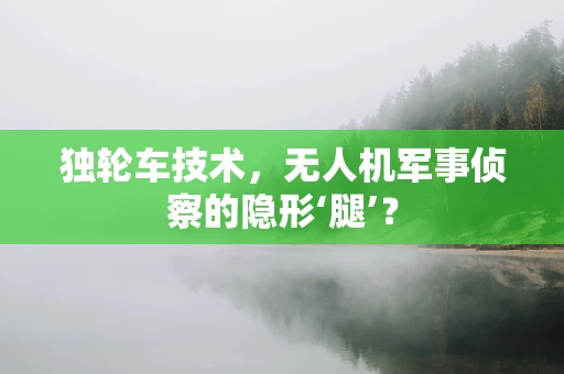 独轮车技术，无人机军事侦察的隐形‘腿’？