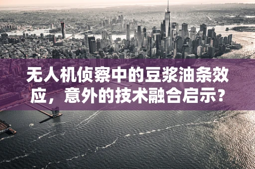 无人机侦察中的豆浆油条效应，意外的技术融合启示？