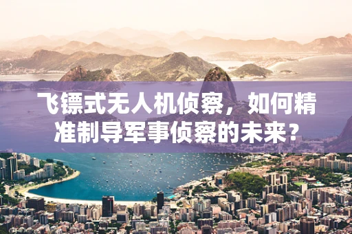 飞镖式无人机侦察，如何精准制导军事侦察的未来？