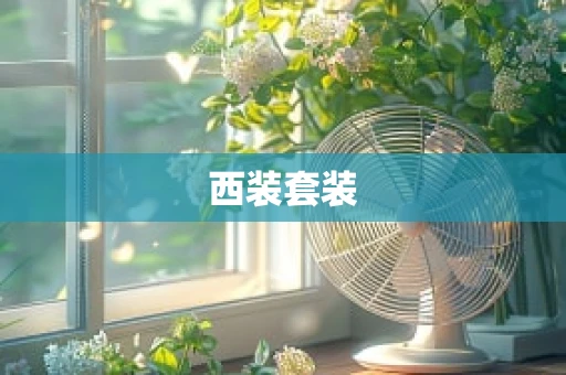 西装套装