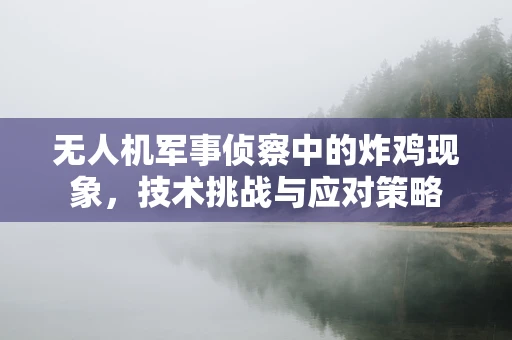 无人机军事侦察中的炸鸡现象，技术挑战与应对策略