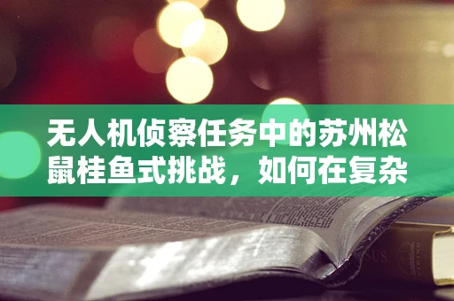 无人机侦察任务中的苏州松鼠桂鱼式挑战，如何在复杂环境中精准定位？