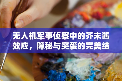 无人机军事侦察中的芥末酱效应，隐秘与突袭的完美结合？