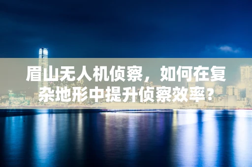 眉山无人机侦察，如何在复杂地形中提升侦察效率？