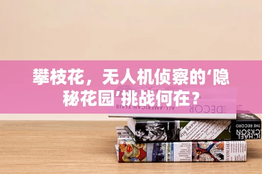 攀枝花，无人机侦察的‘隐秘花园’挑战何在？