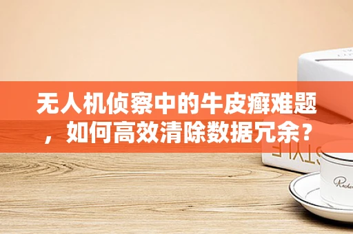 无人机侦察中的牛皮癣难题，如何高效清除数据冗余？