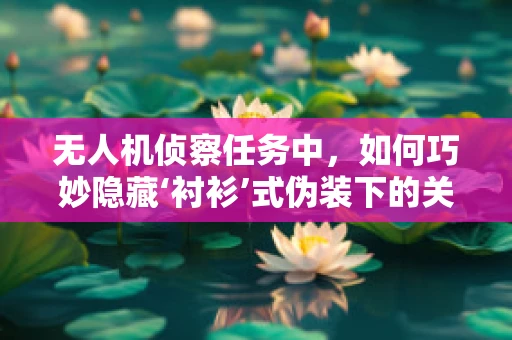 无人机侦察任务中，如何巧妙隐藏‘衬衫’式伪装下的关键信息？