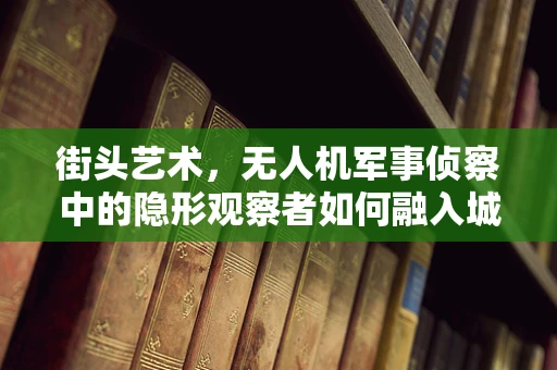 街头艺术，无人机军事侦察中的隐形观察者如何融入城市？