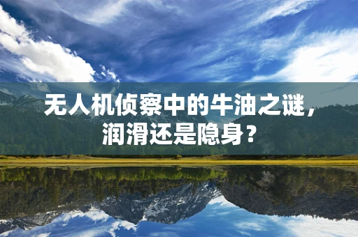 无人机侦察中的牛油之谜，润滑还是隐身？
