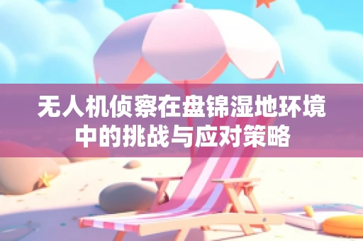 无人机侦察在盘锦湿地环境中的挑战与应对策略