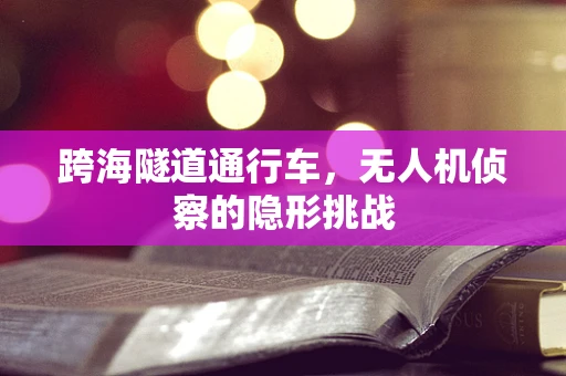 跨海隧道通行车，无人机侦察的隐形挑战