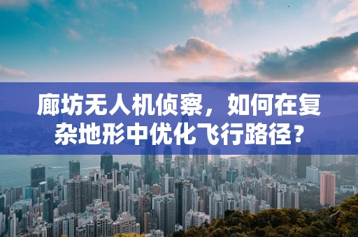 廊坊无人机侦察，如何在复杂地形中优化飞行路径？