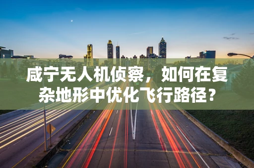 咸宁无人机侦察，如何在复杂地形中优化飞行路径？