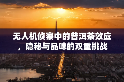 无人机侦察中的普洱茶效应，隐秘与品味的双重挑战