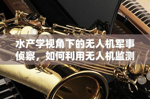 水产学视角下的无人机军事侦察，如何利用无人机监测水生生物活动？