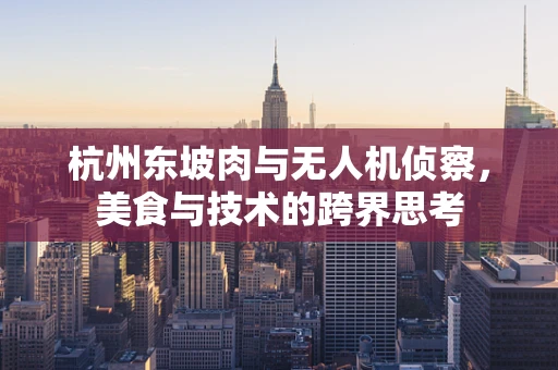 杭州东坡肉与无人机侦察，美食与技术的跨界思考