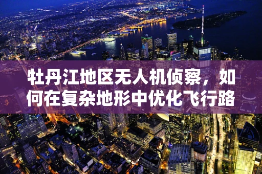 牡丹江地区无人机侦察，如何在复杂地形中优化飞行路径？