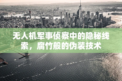 无人机军事侦察中的隐秘线索，腐竹般的伪装技术